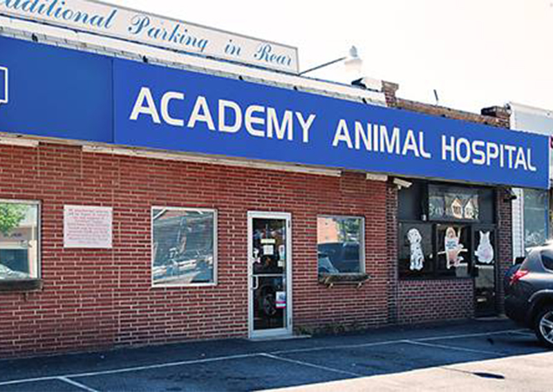 Academy Animal Hospital, Academy
